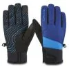 Dakine, Impreza Gore-Tex Glove Skihandschoenen Heren Deep Blauw Blauw